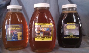 Hummingbird Ranch Honey